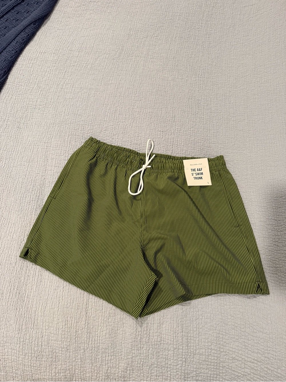 NWT A&F Men’s 5” Pinstripe Swim Trunks